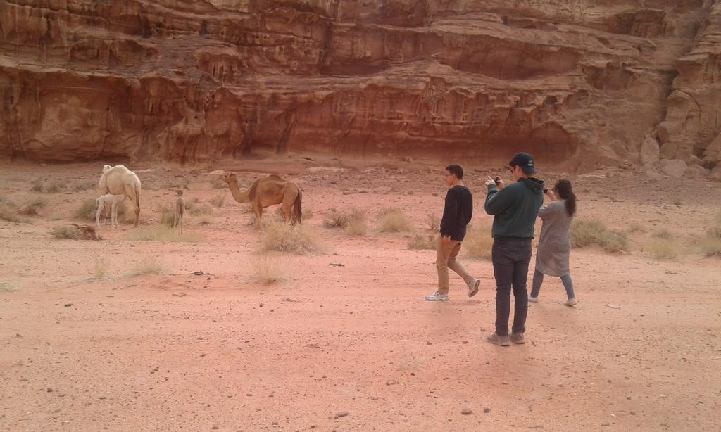 Wadi Rum Light Camp Екстериор снимка