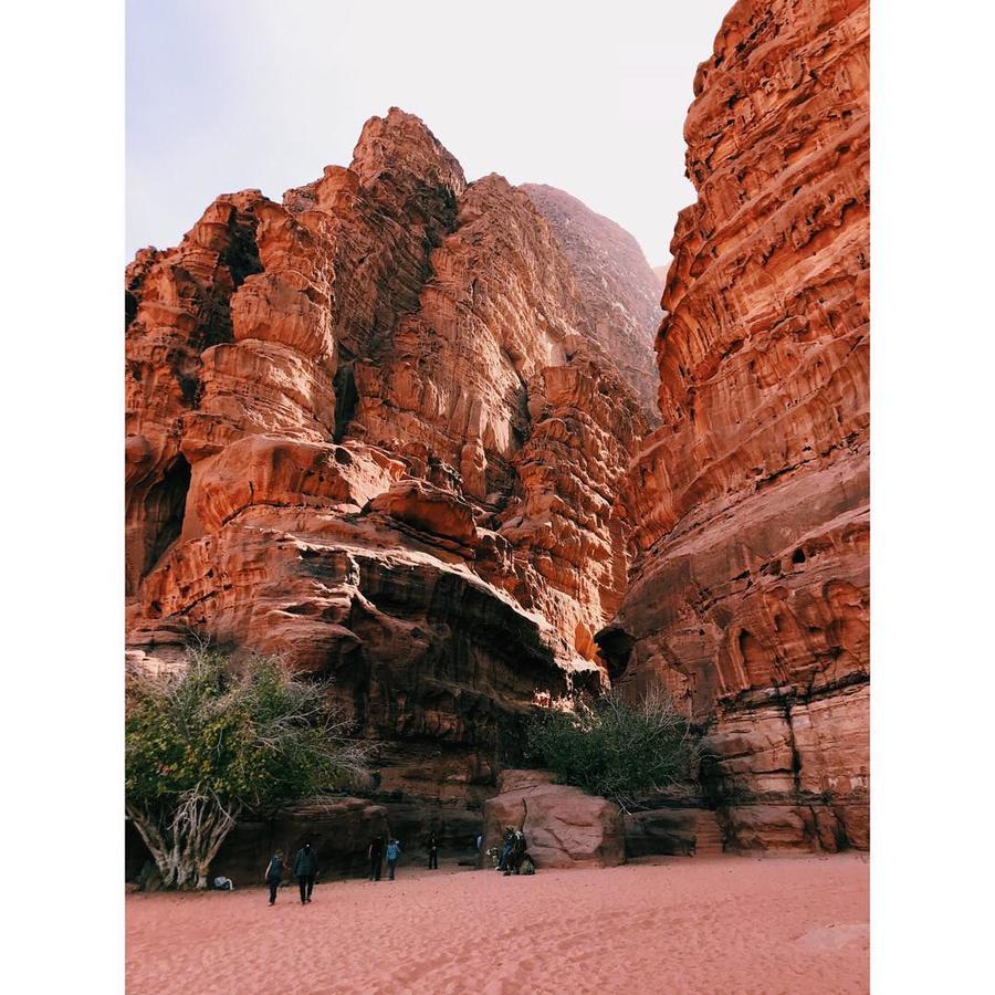 Wadi Rum Light Camp Екстериор снимка